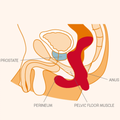 Fun Factory Stimulateur Prostatique Vibrant Duke - Petrol -Lingerie Soldes Boutique capture d e cran 2020 06 11 a 14.51.50