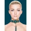 Collier Avec Laisse En Simili Cuir - Vert Et Doré -Lingerie Soldes Boutique choker laisse simili cuir vert 1