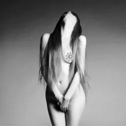 Bijoux Indiscrets Bijoux De Seins Mimi - Argent