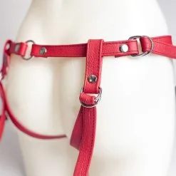 The Sinners Harnais Pour Gode-ceinture Avec Attaches D-Ring - Cuir Souple Rouge -Lingerie Soldes Boutique strapon rouge ouvert anneaux grosplananneaux 1